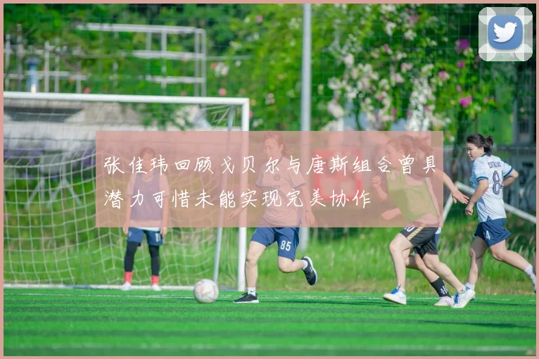 张佳玮回顾戈贝尔与唐斯组合曾具潜力可惜未能实现完美协作
