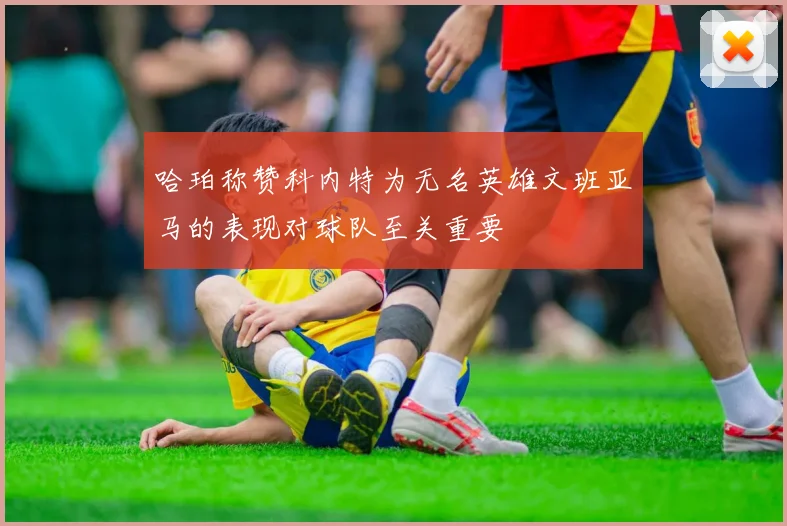 哈珀称赞科内特为无名英雄文班亚马的表现对球队至关重要
