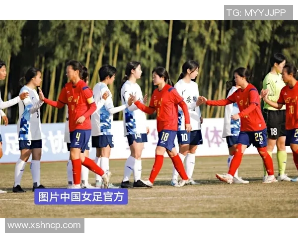 2017年四川全运会U18足球队的崛起与挑战分析 2017年四川全运会U18足球队的崛起与挑战分析