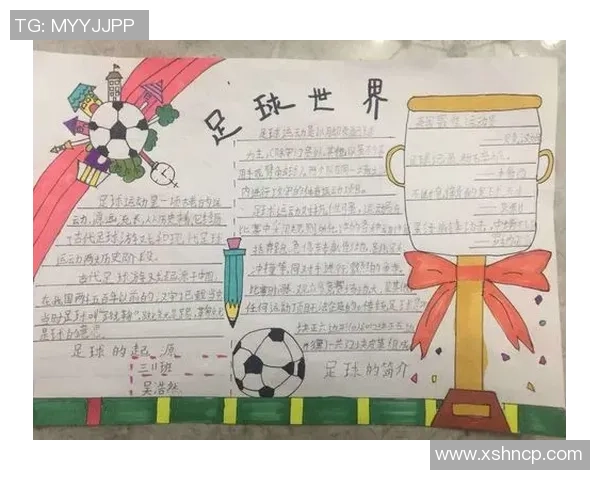 如何简单易懂地绘制一个足球网的步骤与技巧分享