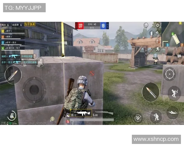 从零开始：全面解析和平精英游戏状态与技巧提升攻略