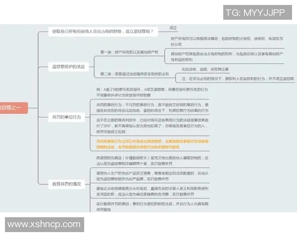 深圳网球队的战术创新与转换体系解析及其在比赛中的应用