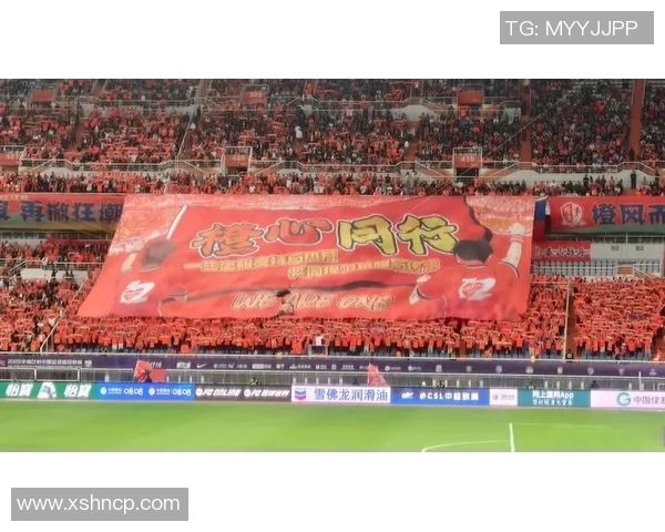 足球主持的魅力与挑战解析如何在赛场上引领观众热情与激情