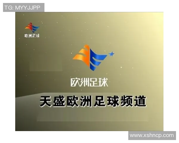 足球完整图解读与分析探讨足球战术演变与球队发展历程