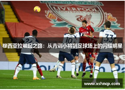 穆西亚拉崛起之路：从青训小将到足球场上的闪耀明星