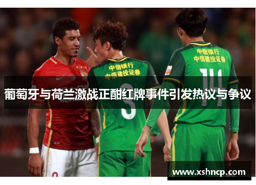 葡萄牙与荷兰激战正酣红牌事件引发热议与争议