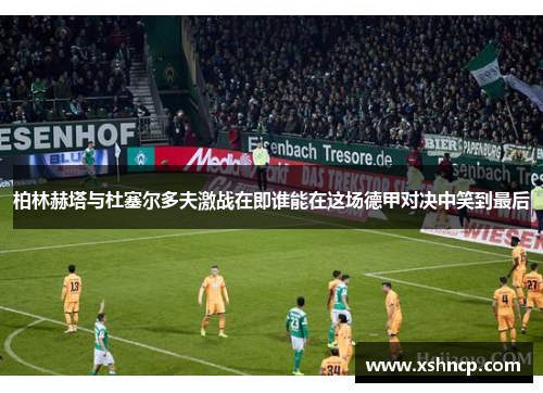 柏林赫塔与杜塞尔多夫激战在即谁能在这场德甲对决中笑到最后