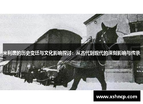 米利唐的历史变迁与文化影响探讨：从古代到现代的深刻影响与传承